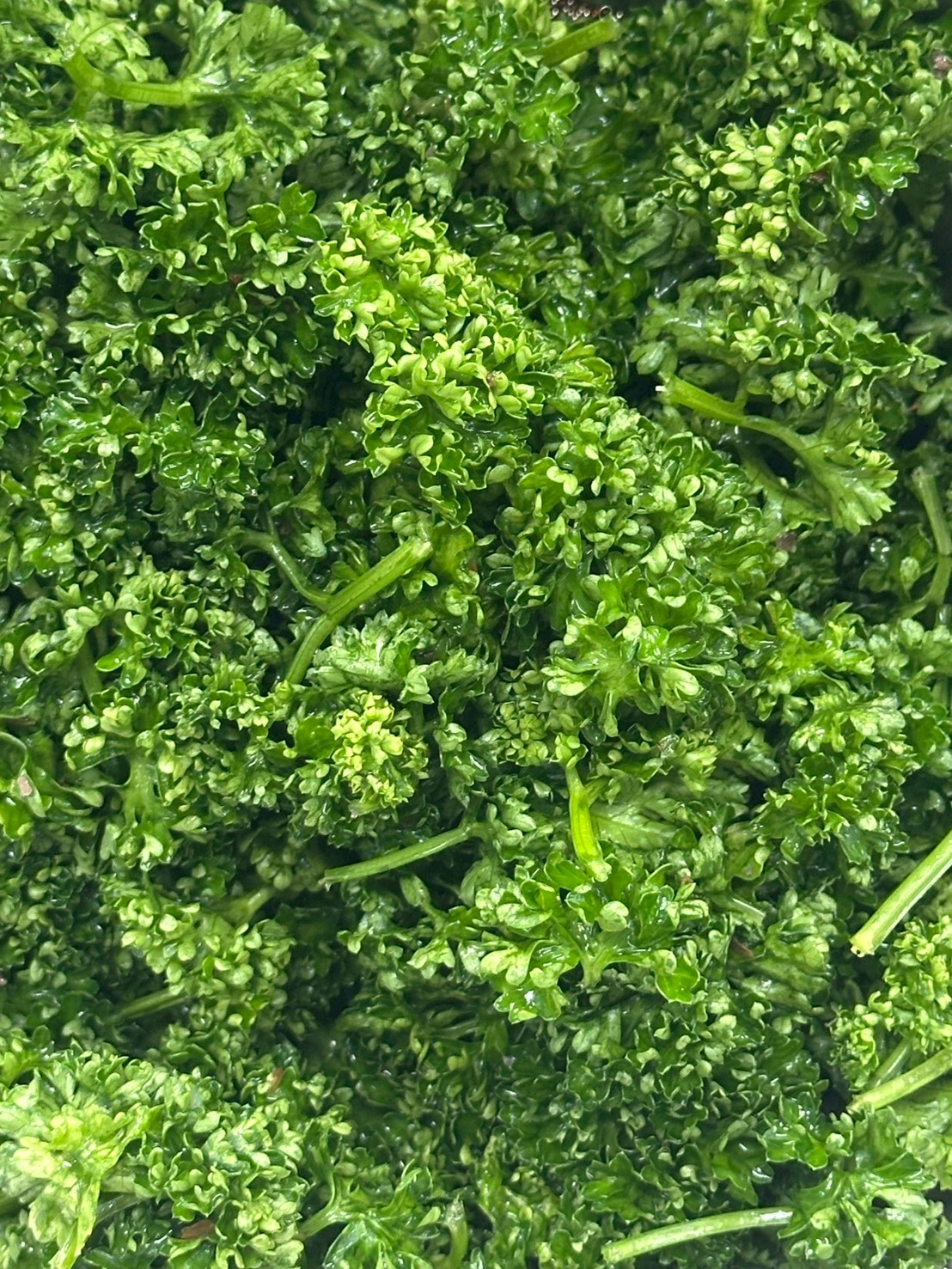 巴西里(備料)