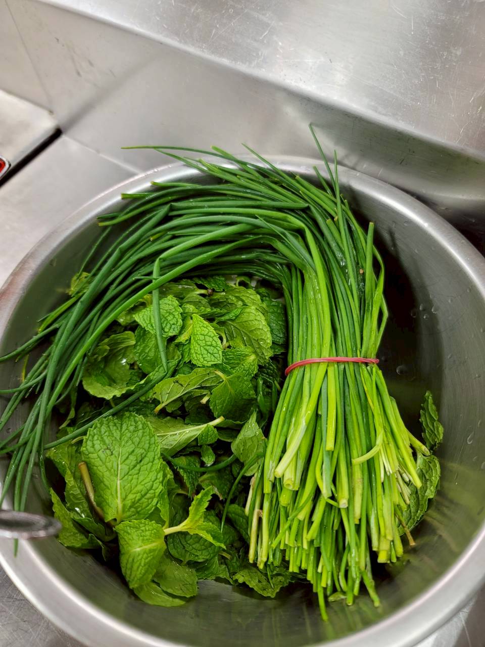 蝦夷蔥和薄荷葉